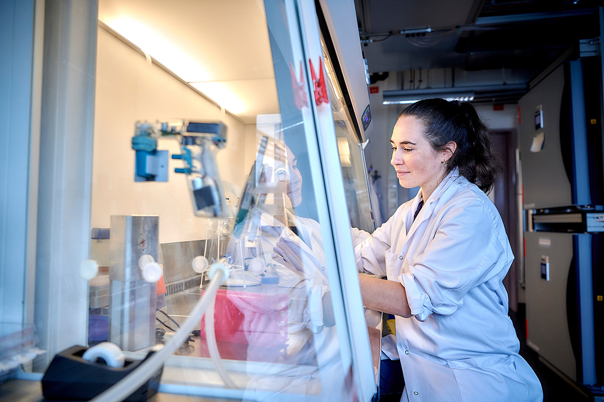 Pauline Zamprogno im Organs-on-Chip Culture Labor des ARTORG Center.